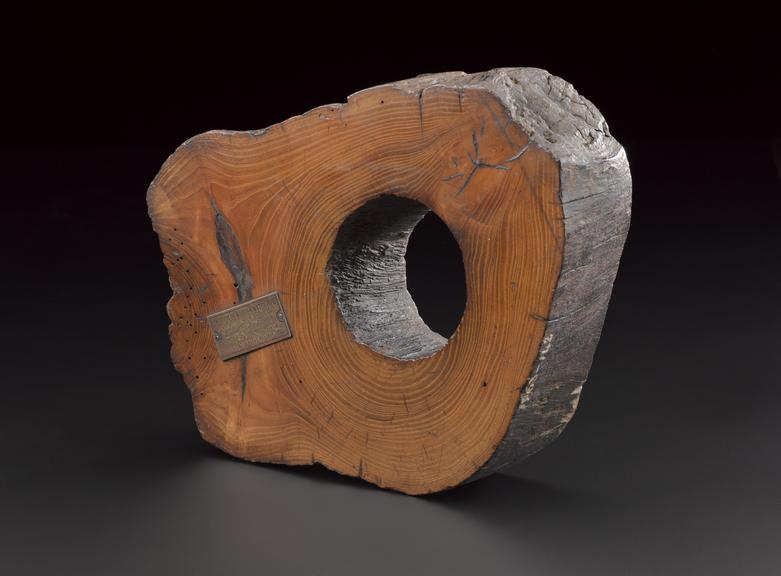Section of NRC elm pipe